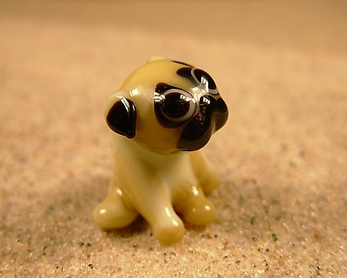 Mops sedící — foto 2