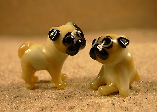 Mops sedící — foto 5