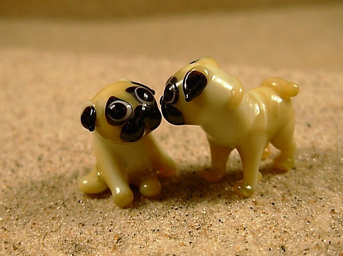 Mops sedící — foto 6