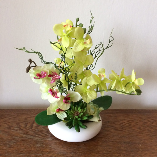 Orchideje s netřeskem — foto 2