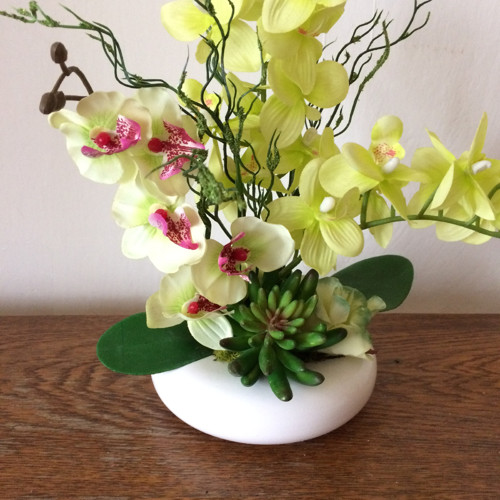 Orchideje s netřeskem — foto 4