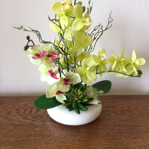 Orchideje s netřeskem — foto 5