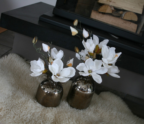 Sada váz s magnoliemi — foto 3