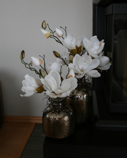 Sada váz s magnoliemi — foto 4