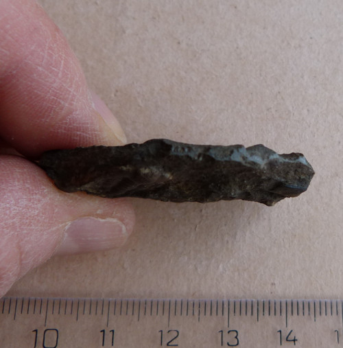 Trilobit ČR - 4,3 cm — foto 5