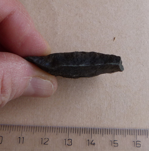 Trilobit ČR - 4 cm — foto 4