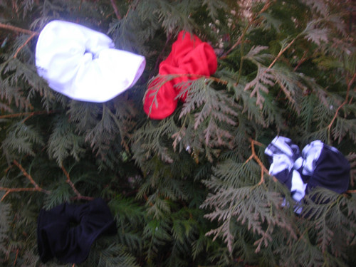 Gumička — foto 2