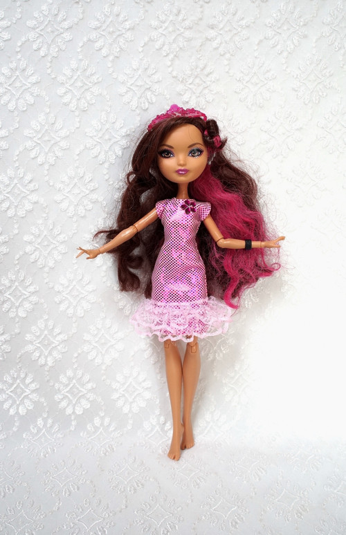 Šaty pro MH / Ever After High — foto 2