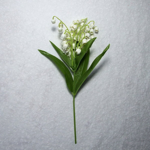 Konvalinky — foto 2