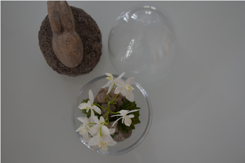 Dekorace In-Egg — foto 5