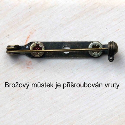 Kočička zrzinda - brož — foto 2