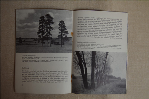 Fotorádce (Germany) — foto 5