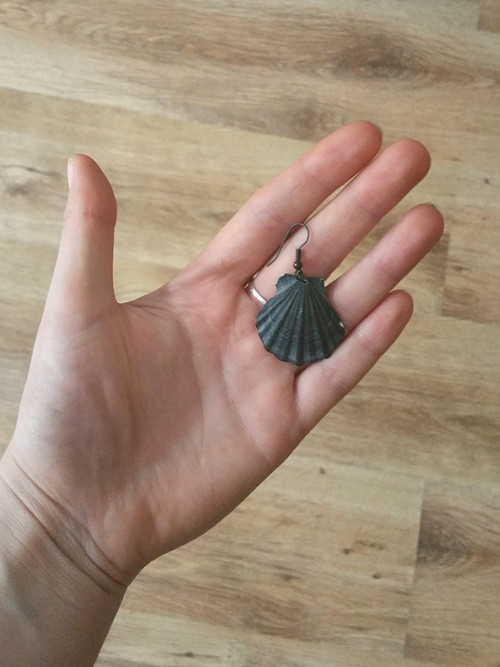 Mušle černé střední 2 — foto 3