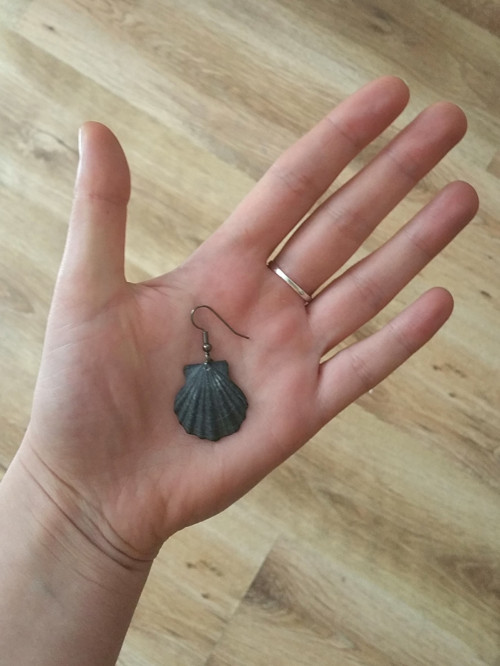 Mušle černé malé — foto 3