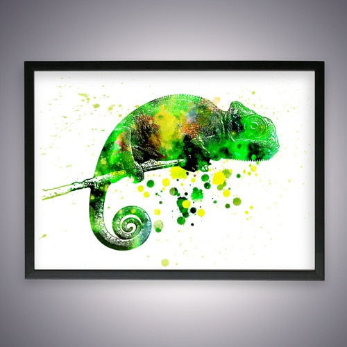 Zelený chameleon - Tisk na grafický papír — foto 5