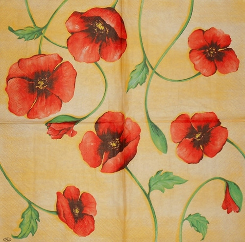 Ubrousek - vlčí máky — foto 2