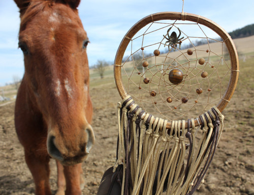 Born To Be Wild ~ Lapač snů — foto 3