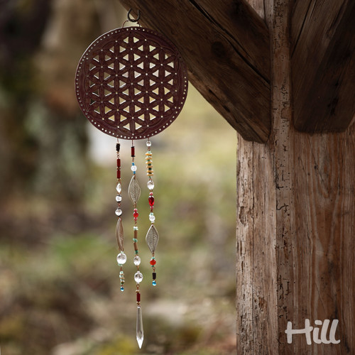 Květ snů — foto 5