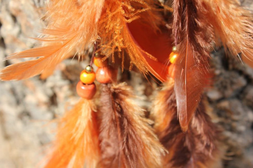 Oranžová, ta je má ~ Lapáček — foto 4