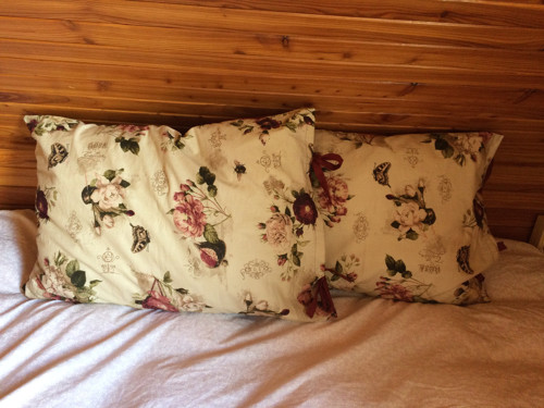 Růžové snění — foto 3