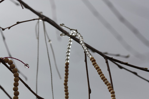 Jarní ... — foto 6