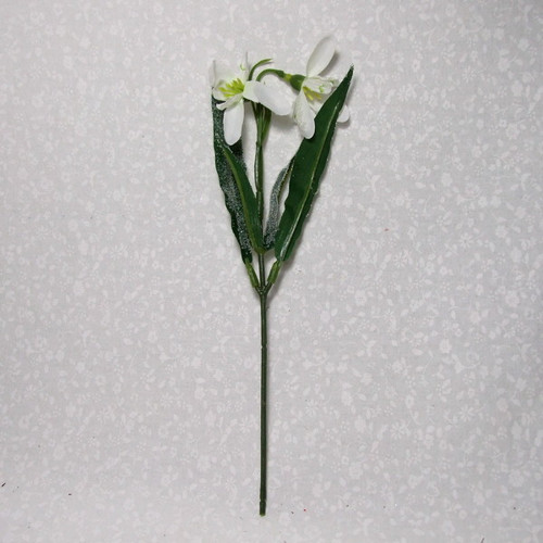 Ojíněné sněženky — foto 2