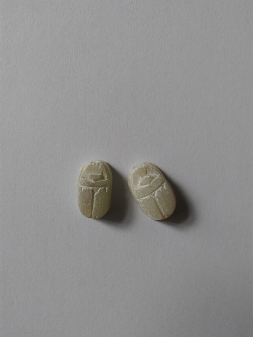 Skarabeus — foto 2