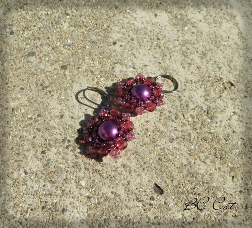 Berries — foto 2