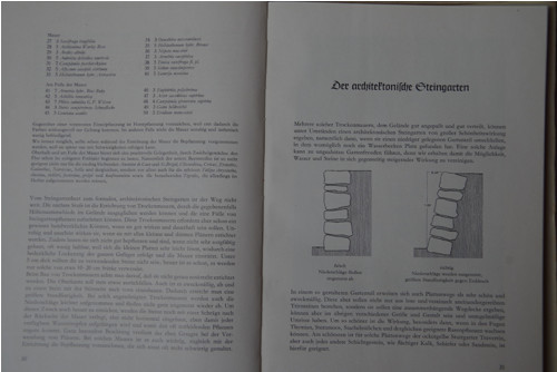 Das Steingartenbuch - Emil Matzner — foto 4
