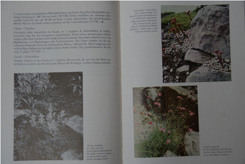 Das Steingartenbuch - Emil Matzner — foto 6