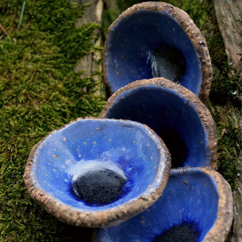 Studánka — foto 2