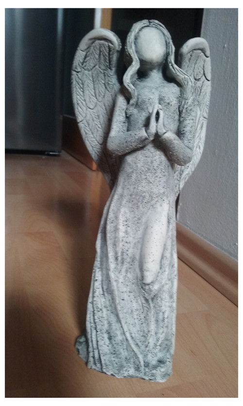 Anděl šedozelený — foto 3