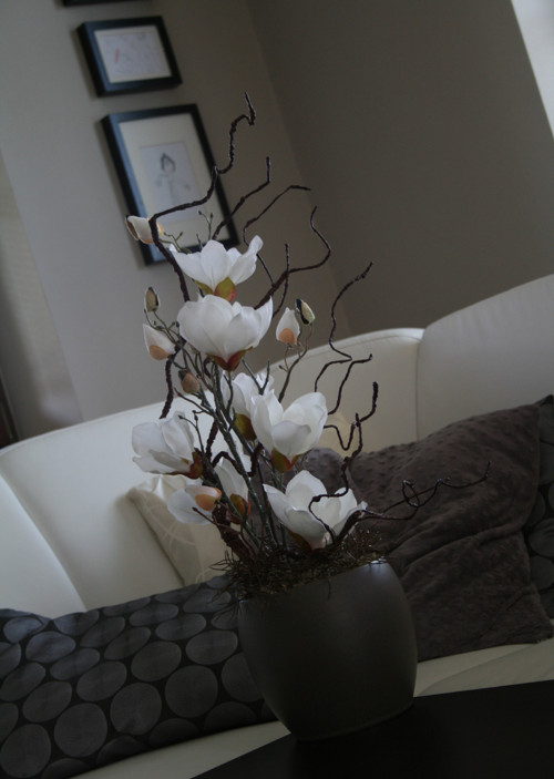 Hnědá koule s magnoliemi — foto 6