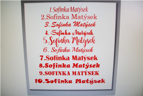 Samolepka dítě v autě 27 druhů — foto 5