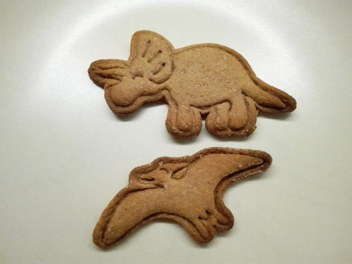 Triceratops - set — foto 4