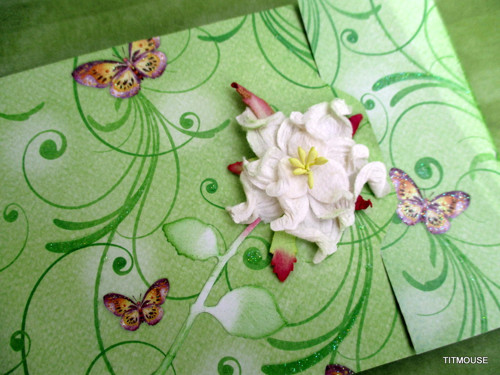 Motýlí taneček — foto 2