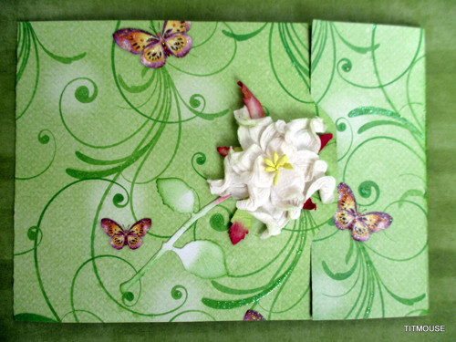 Motýlí taneček — foto 3