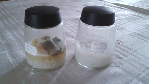 Harmonizér vody — foto 6