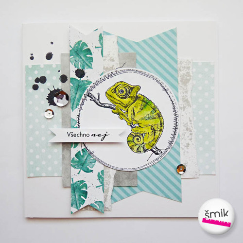 Přání s chameleonem minty-grey — foto 2