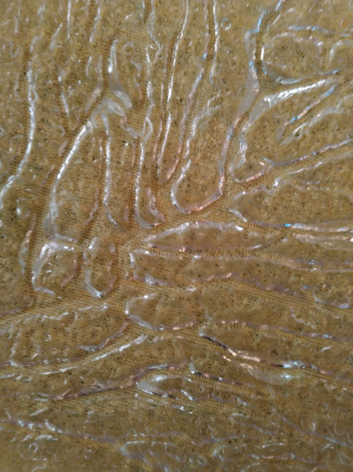 Skleněný tác — foto 2