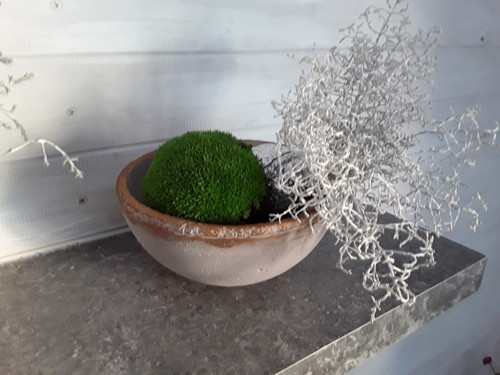 Miska polokoule "Bronzový okraj" — foto 2