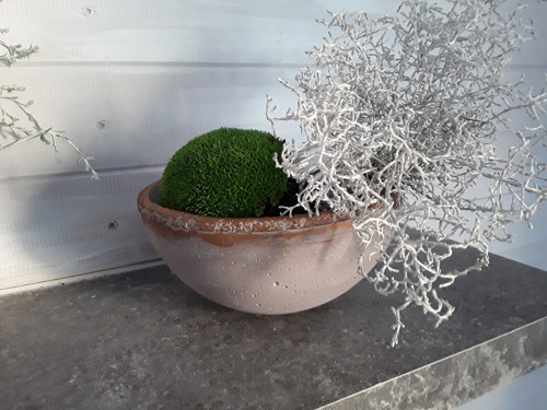 Miska polokoule "Bronzový okraj" — foto 5