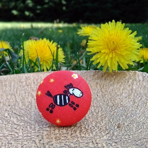 Brož Malá zebra — foto 2