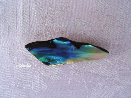 Oceán — foto 2