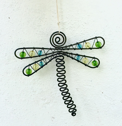 Odonata třpytná :) — foto 3
