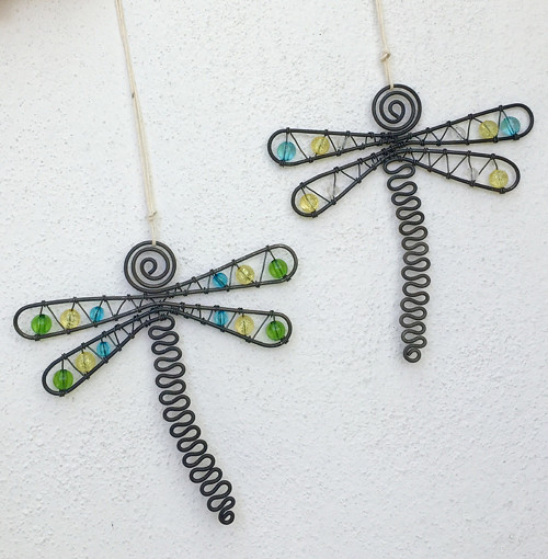 Odonata třpytná :) — foto 4