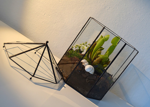 Florarium "Domeček kulatý" — foto 2