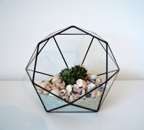 Terarium "Diamant" — foto 2