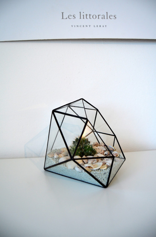 Terarium "Diamant" — foto 3