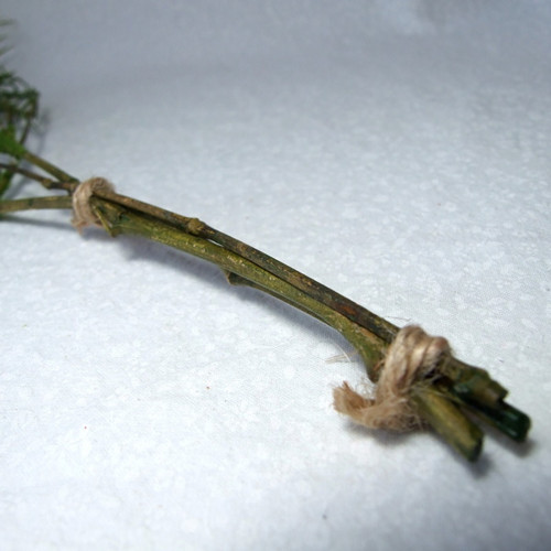 Asparagus 90 cm — foto 4